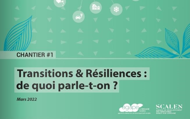 Transitions & Résiliences : de quoi parle-t-on ?